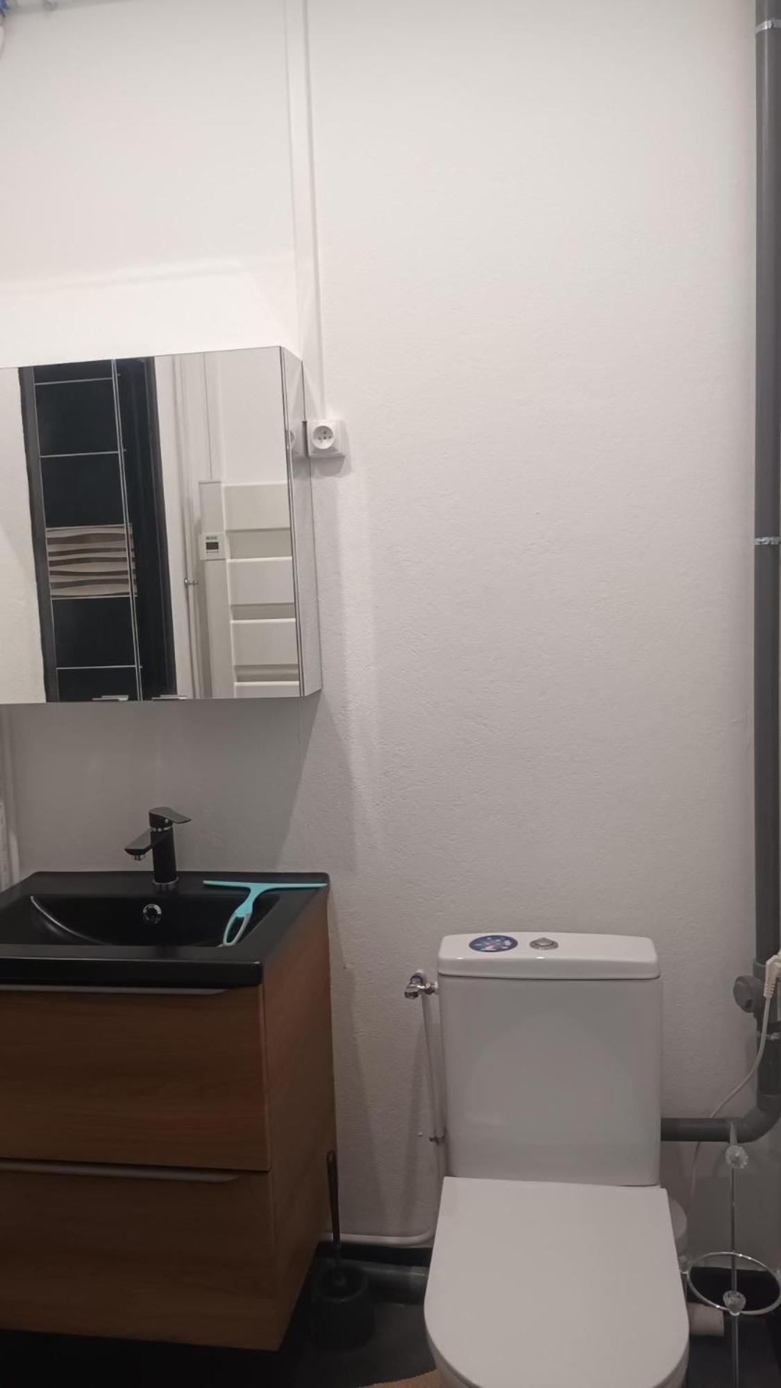 Appartement T1 Proche De Vulcania Pontaumur Екстер'єр фото